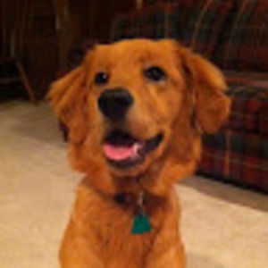 Meet your Posher, Jeffrey